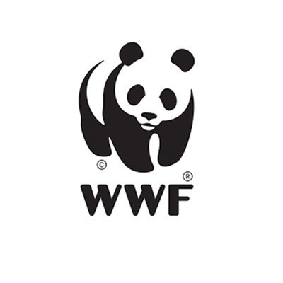 Consultant en Cartographie des Acteurs