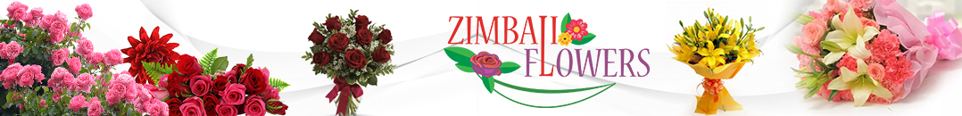ZIMBALI FLOWERS – KINSHASA – RD CONGO – MONCONGO 