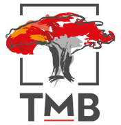 TRUST MERCHANT BANK (TMB) Lubumbashi Banques à Lubumbashi MonCongo