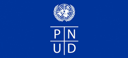 Appel d'offres -PNUD- Kinshasa - RDC