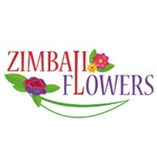 ZIMBALI FLOWERS – KINSHASA – RD CONGO – MONCONGO 